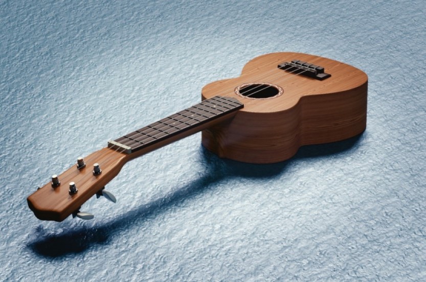 ukulele lying on ground