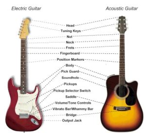 Guitar Anatomy 
