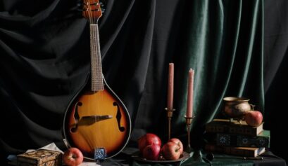 mandolin accessories