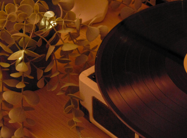 A vinyl record spinning on a turntable next to a plant in warm ambient lighting.